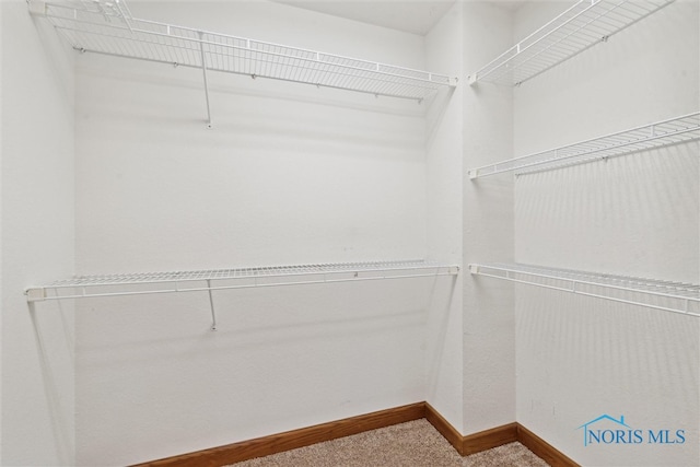 view of spacious closet