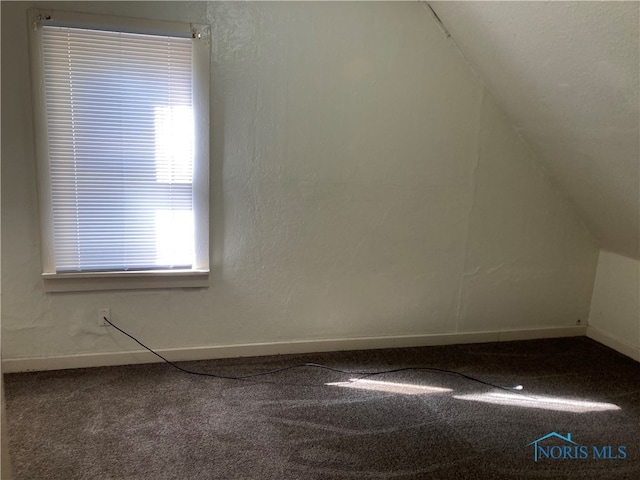 additional living space with carpet flooring and lofted ceiling