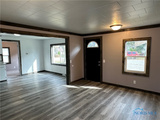 entrance foyer featuring a wealth of natural light and dark hardwood / wood-style floors