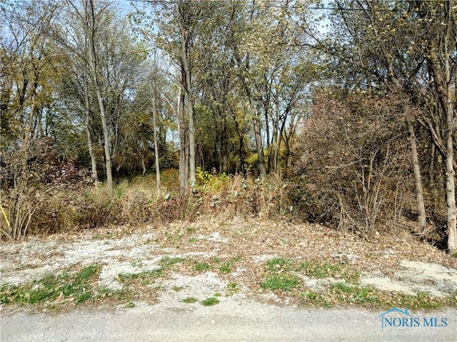 11931 Rachel Rd, Curtice, OH 43412