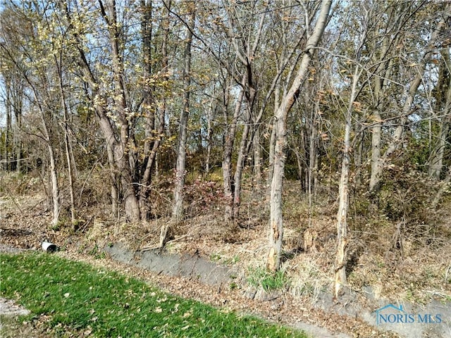 11931 Rachel Rd, Curtice, OH 43412