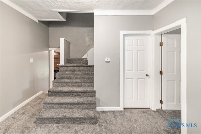 stairway with crown molding, a textured ceiling, and carpet flooring