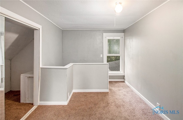 hallway featuring carpet flooring