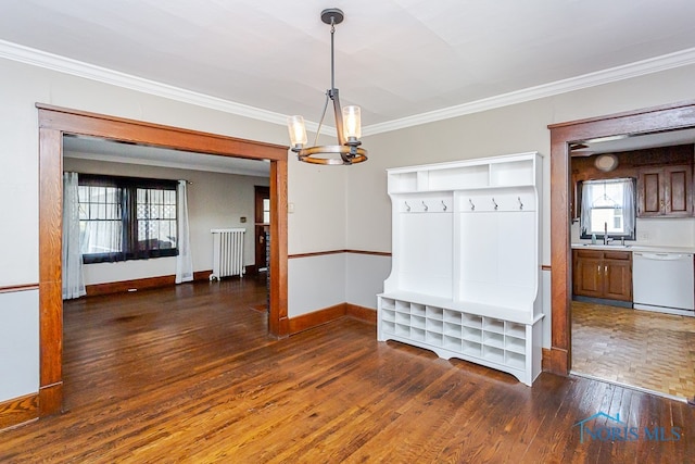 interior space with dark wood-type flooring, radiator heating unit, and a healthy amount of sunlight