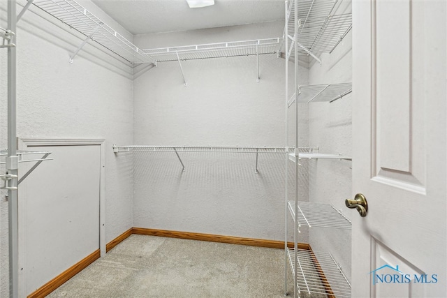 walk in closet with light colored carpet