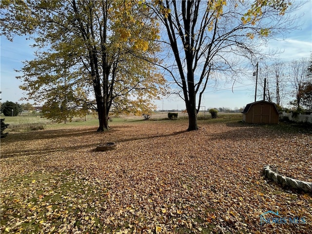 view of yard with a storage unit