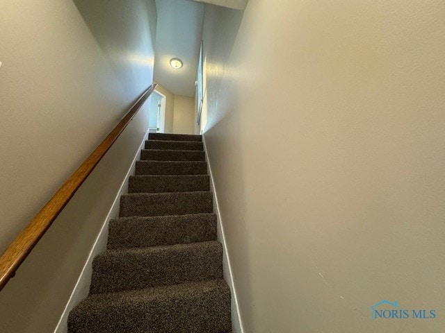 stairs featuring carpet