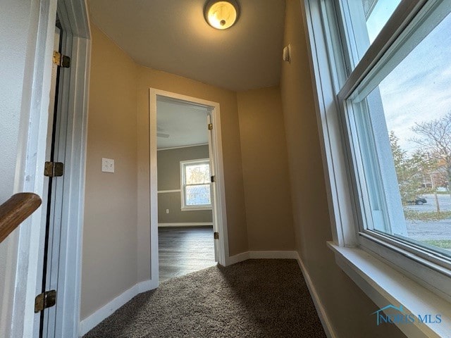 hall with dark colored carpet