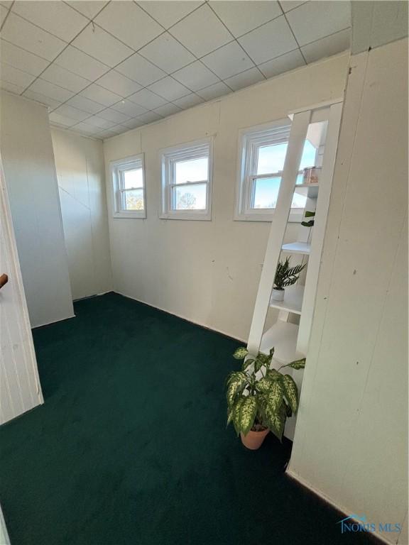 carpeted empty room featuring plenty of natural light