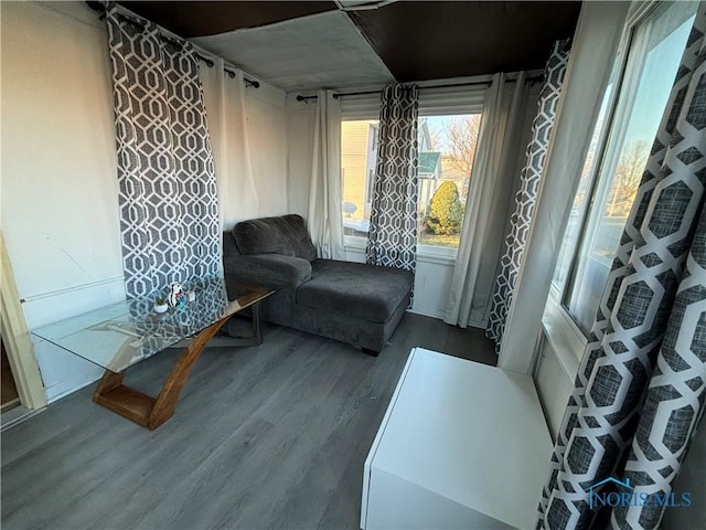 living area with hardwood / wood-style floors