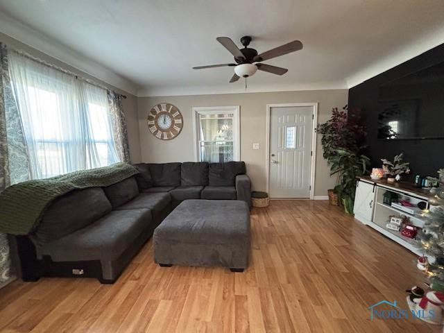 living room with ceiling fan and light hardwood / wood-style floors