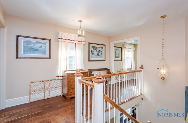 hall with a wealth of natural light and dark hardwood / wood-style floors