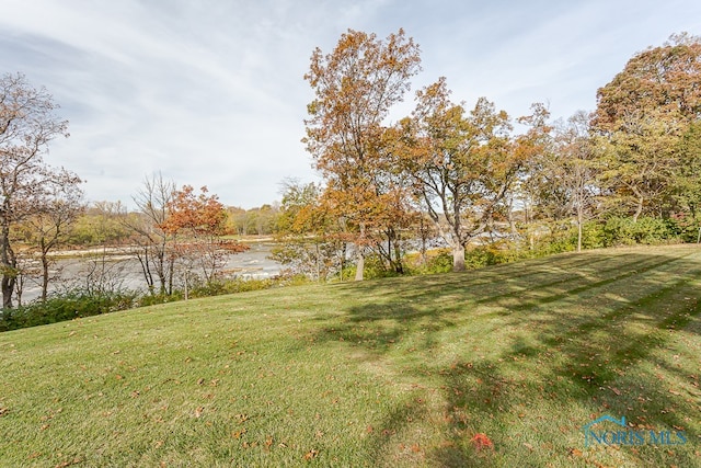 view of yard with a water view