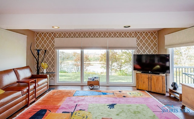 living room with plenty of natural light