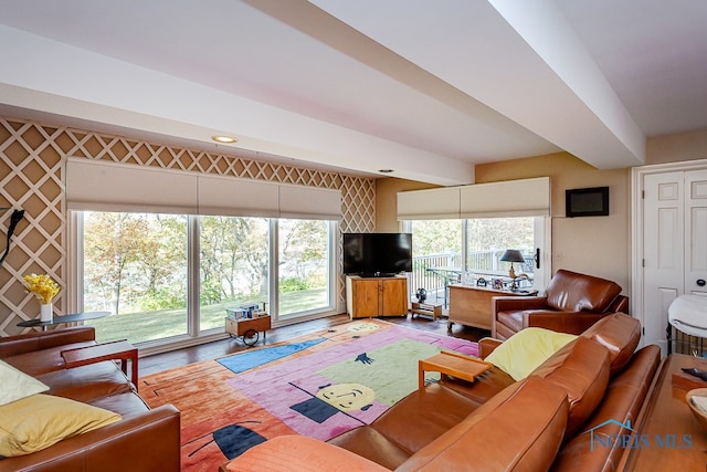 living room featuring wood-type flooring and plenty of natural light