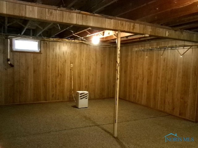 basement with wood walls