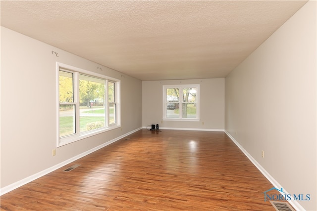 empty room featuring a textured ceiling, wood-type flooring, and plenty of natural light