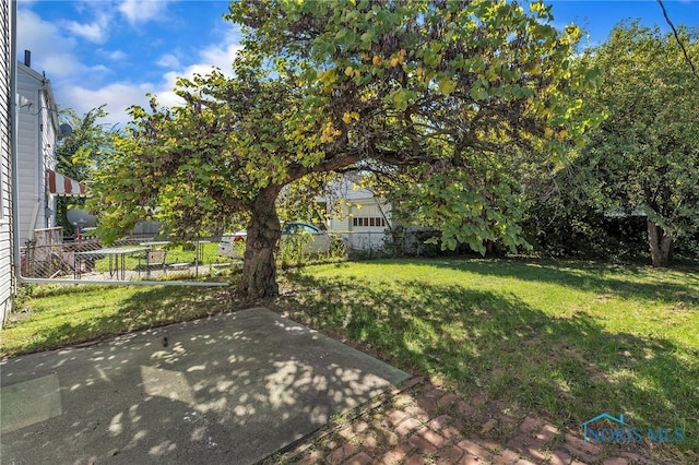 view of yard featuring a patio area