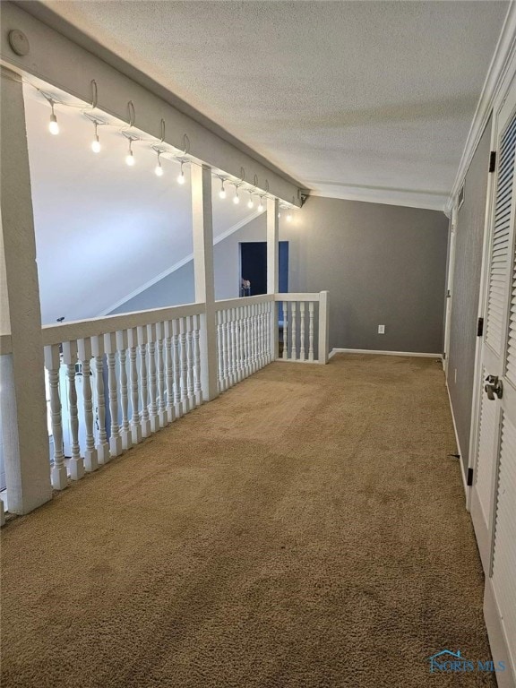 additional living space with carpet flooring, a textured ceiling, and lofted ceiling