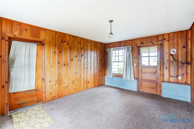 interior space featuring wood walls and light colored carpet