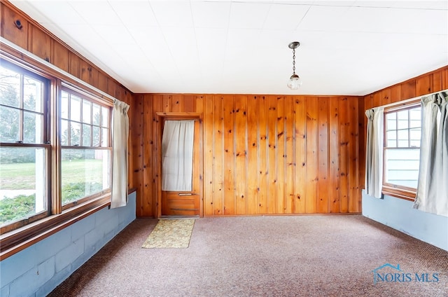 carpeted spare room featuring a wealth of natural light and wooden walls