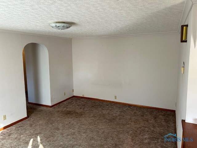 carpeted empty room featuring crown molding and a textured ceiling