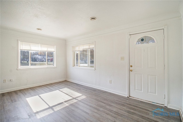 entrance foyer featuring ornamental molding, a textured ceiling, dark wood-type flooring, and a wealth of natural light