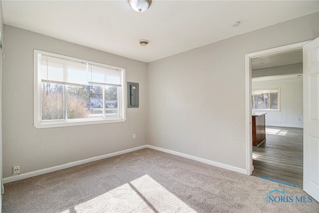 carpeted spare room with electric panel