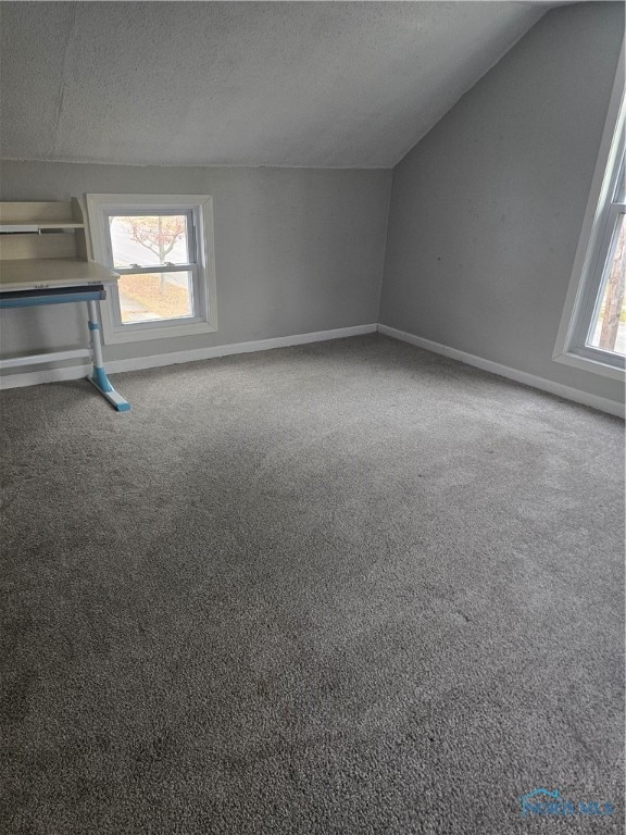 spare room featuring lofted ceiling, carpet, and a textured ceiling