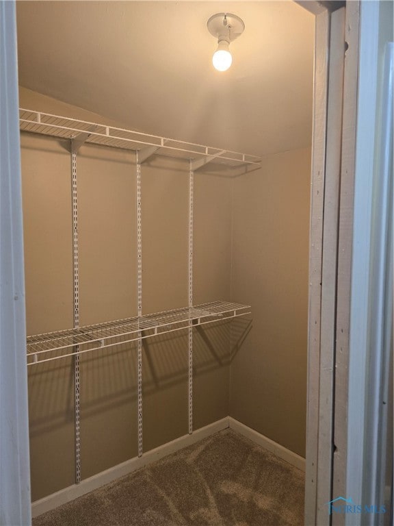 spacious closet with carpet