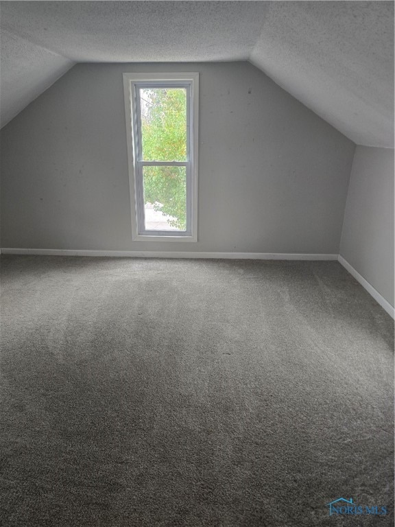 bonus room with carpet, a textured ceiling, and vaulted ceiling