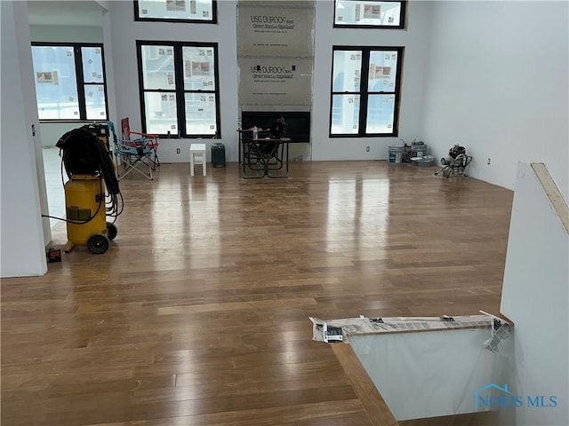 workout room featuring hardwood / wood-style floors