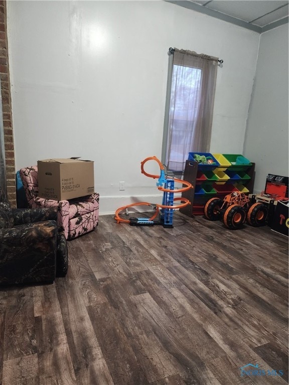 recreation room featuring hardwood / wood-style floors