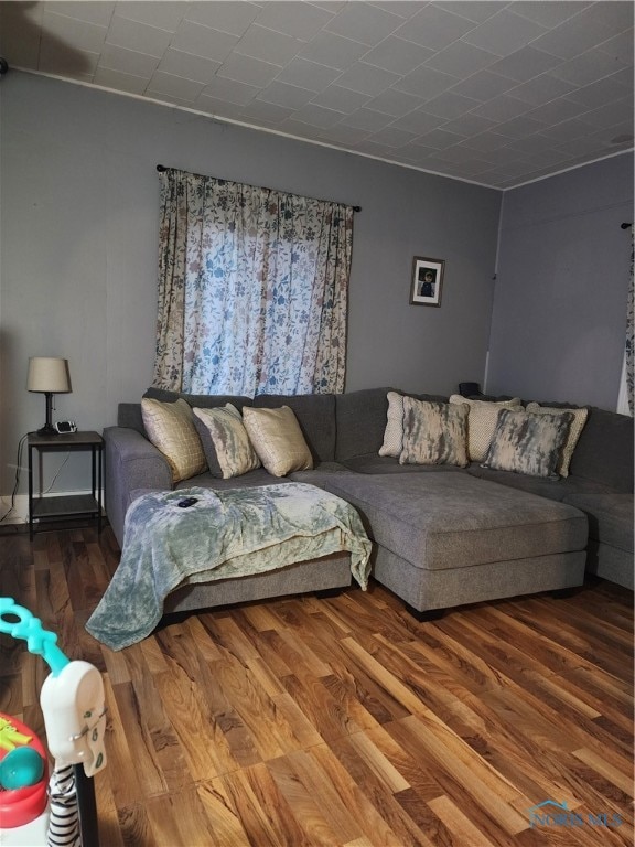 living room with hardwood / wood-style flooring