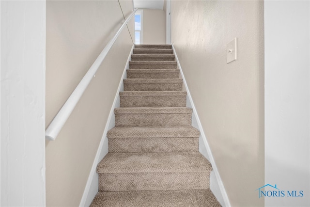 staircase featuring carpet