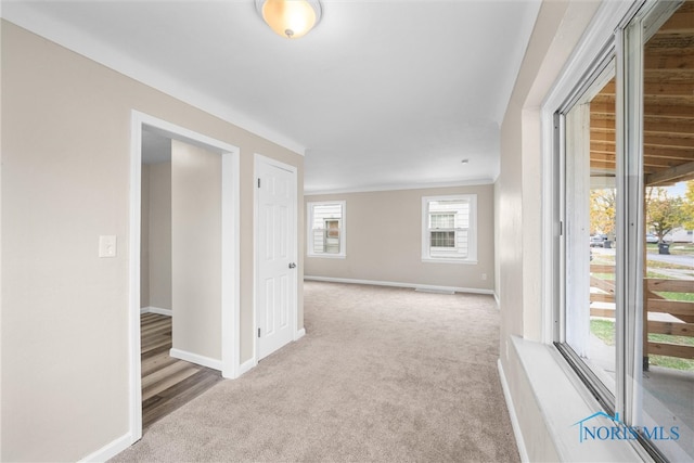 corridor with light colored carpet and crown molding