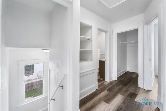 spacious closet featuring dark hardwood / wood-style floors