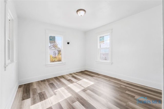 spare room featuring light wood-type flooring and a wealth of natural light