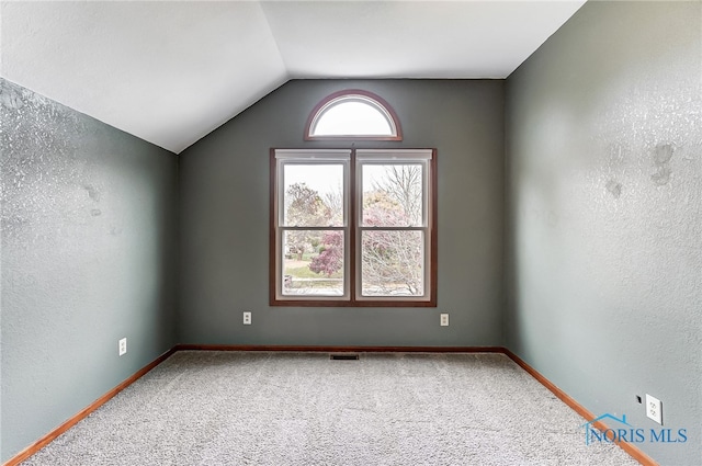 empty room with carpet flooring and lofted ceiling