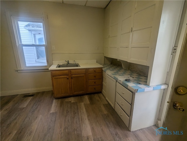 kitchen with sink and dark hardwood / wood-style floors