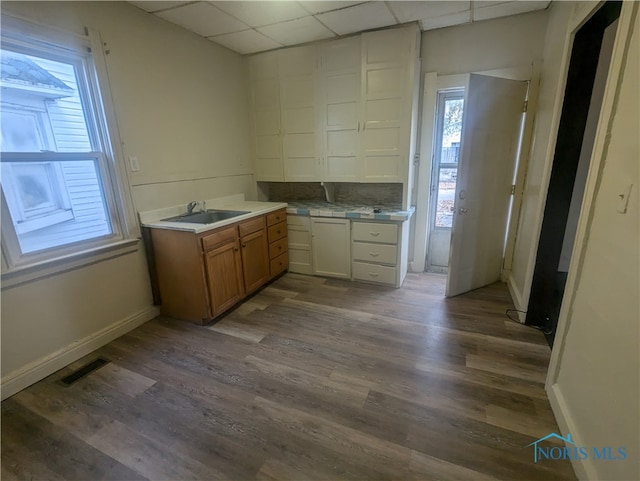 kitchen with a paneled ceiling, dark wood-type flooring, and sink