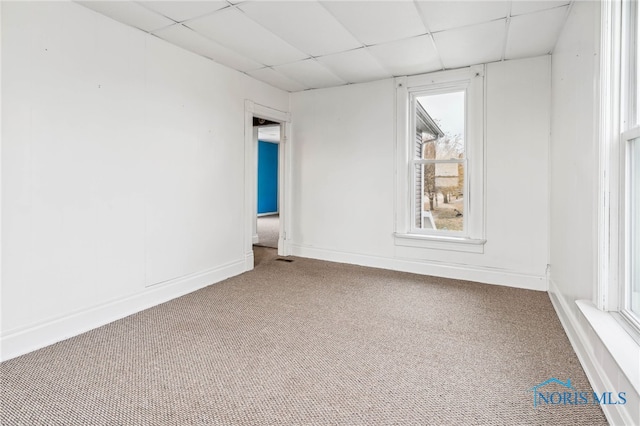 spare room featuring a paneled ceiling, carpet, and plenty of natural light