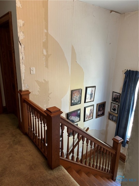 stairway with carpet flooring