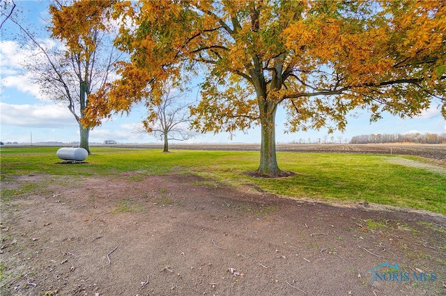 view of yard with a rural view