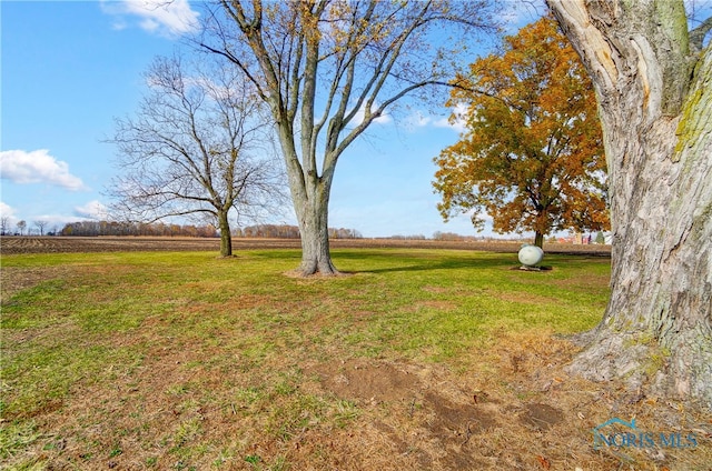 view of yard with a rural view