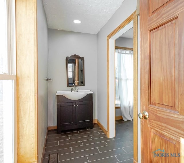 bathroom featuring hardwood / wood-style flooring, vanity, and a healthy amount of sunlight