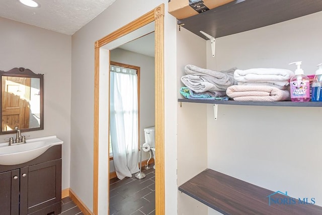 interior space featuring vanity and toilet