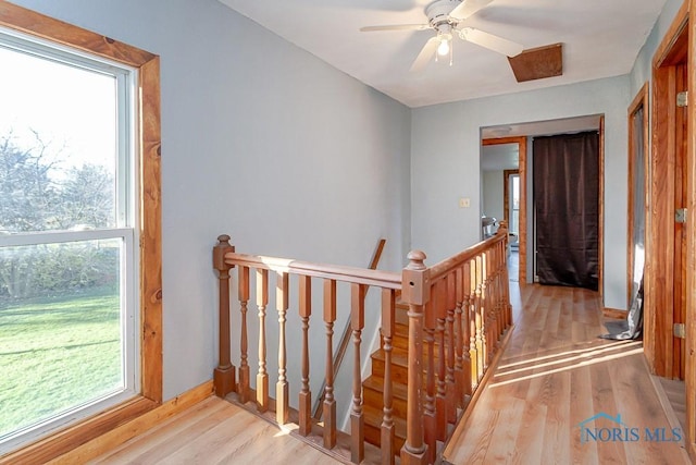 hallway with light hardwood / wood-style flooring and a wealth of natural light