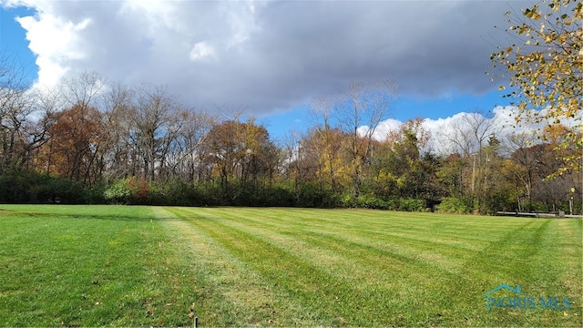 Listing photo 3 for 26298 W River Rd, Perrysburg OH 43551