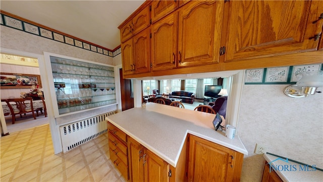 kitchen featuring radiator heating unit